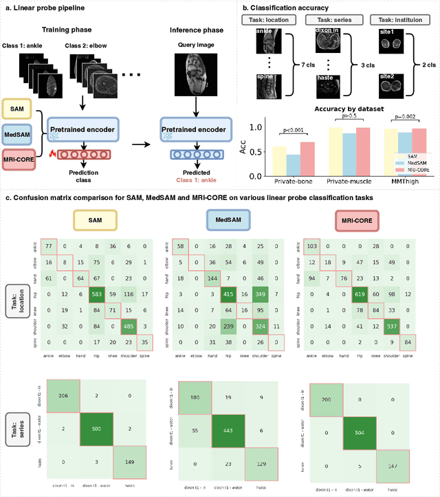 Figure 3 for MRI-CORE: A Foundation Model for Magnetic Resonance Imaging