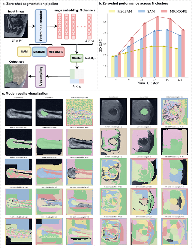 Figure 4 for MRI-CORE: A Foundation Model for Magnetic Resonance Imaging