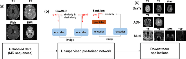 Figure 1 for Evaluating unsupervised contrastive learning framework for MRI sequences classification