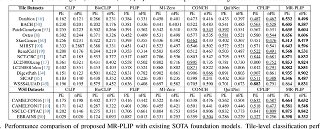Figure 2 for Multi-Resolution Pathology-Language Pre-training Model with Text-Guided Visual Representation