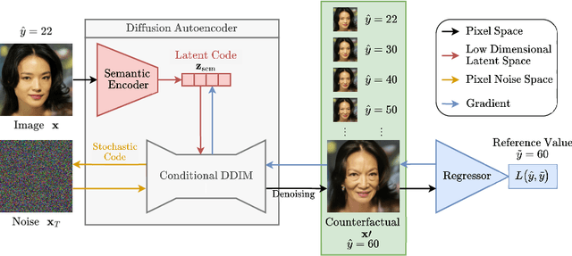 Figure 1 for Diffusion Counterfactuals for Image Regressors