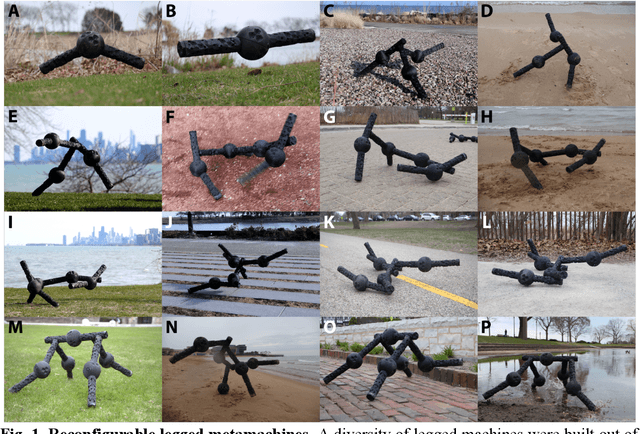 Figure 1 for Reconfigurable legged metamachines that run on autonomous modular legs