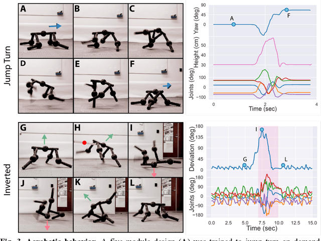 Figure 3 for Reconfigurable legged metamachines that run on autonomous modular legs
