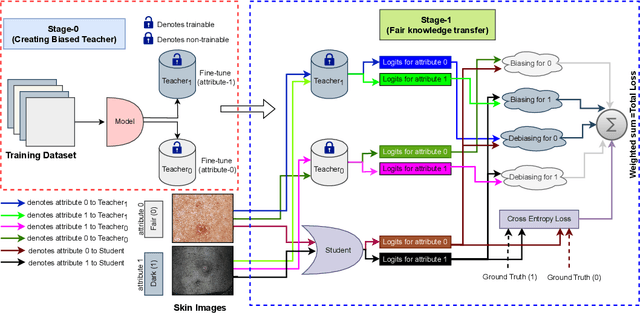 Figure 1 for Biasing & Debiasing based Approach Towards Fair Knowledge Transfer for Equitable Skin Analysis