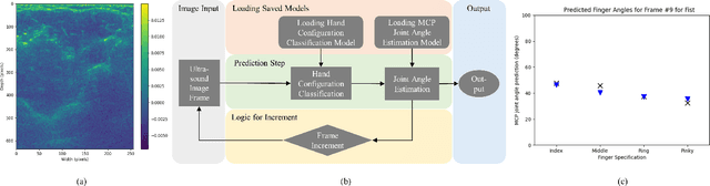 Figure 1 for Simultaneous Estimation of Hand Configurations and Finger Joint Angles using Forearm Ultrasound
