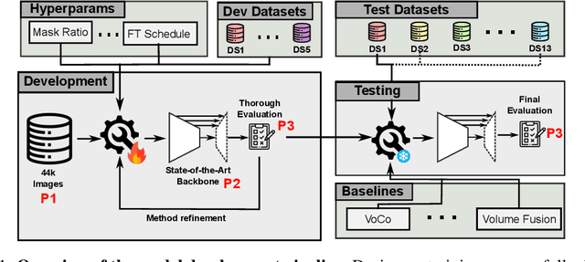 Figure 1 for Revisiting MAE pre-training for 3D medical image segmentation