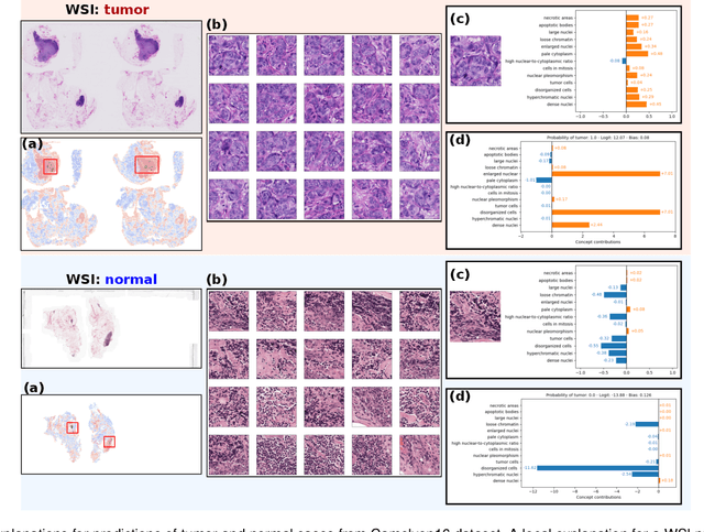 Figure 3 for Label-free Concept Based Multiple Instance Learning for Gigapixel Histopathology