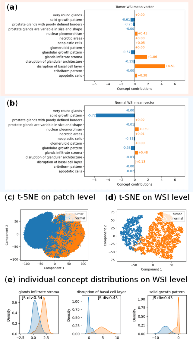 Figure 4 for Label-free Concept Based Multiple Instance Learning for Gigapixel Histopathology