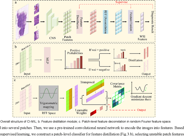 Figure 4 for Establishing Truly Causal Relationship Between Whole Slide Image Predictions and Diagnostic Evidence Subregions in Deep Learning