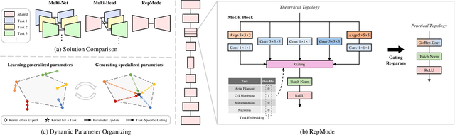 Figure 3 for RepMode: Learning to Re-parameterize Diverse Experts for Subcellular Structure Prediction