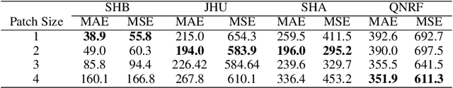 Figure 4 for SYRAC: Synthesize, Rank, and Count