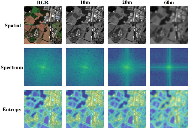 Figure 1 for FlexiMo: A Flexible Remote Sensing Foundation Model