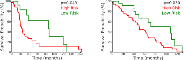 Figure 4 for Survival Modeling from Whole Slide Images via Patch-Level Graph Clustering and Mixture Density Experts