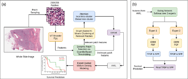 Figure 1 for Survival Modeling from Whole Slide Images via Patch-Level Graph Clustering and Mixture Density Experts