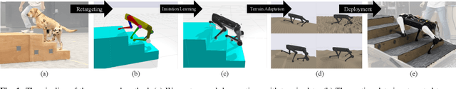 Figure 1 for Learning Terrain-Adaptive Locomotion with Agile Behaviors by Imitating Animals