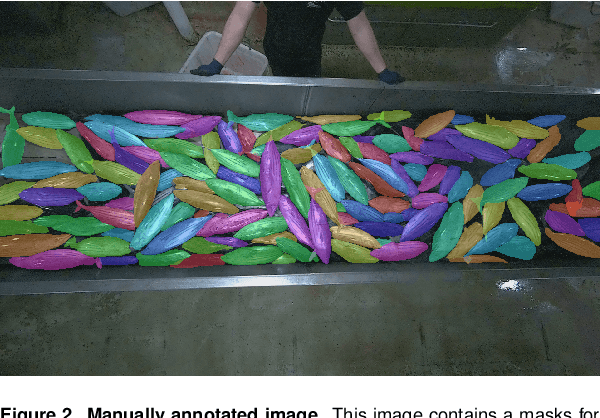 Figure 3 for Deep Learning for Accurate Vision-based Catch Composition in Tropical Tuna Purse Seiners