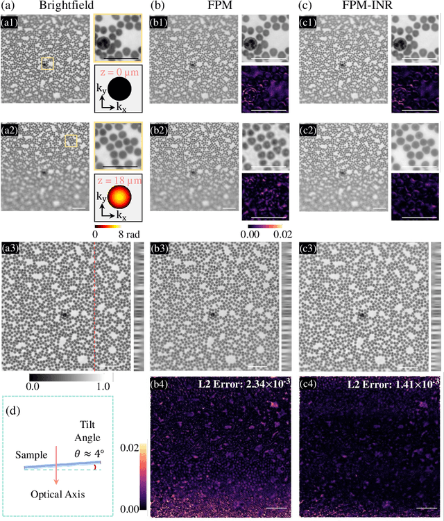 Figure 2 for FPM-INR: Fourier ptychographic microscopy image stack reconstruction using implicit neural representations