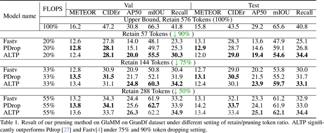 Figure 2 for Local Information Matters: Inference Acceleration For Grounded Conversation Generation Models Through Adaptive Local-Aware Token Pruning