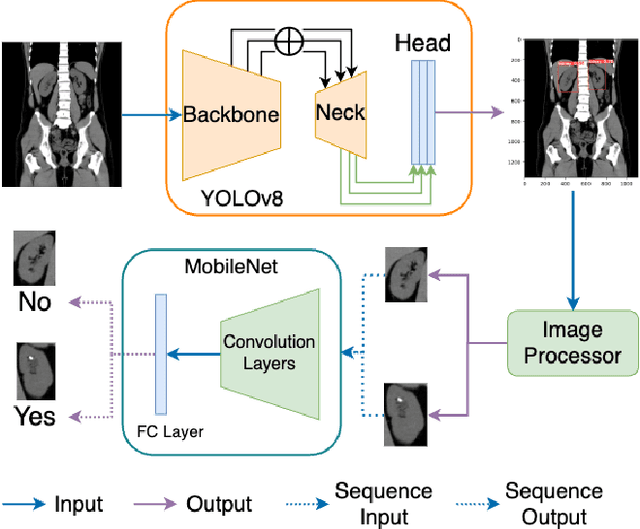 Figure 1 for Lightweight Framework for Automated Kidney Stone Detection using coronal CT images