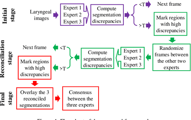 Figure 1 for Experimental Framework for Generating Reliable Ground Truth for Laryngeal Spatial Segmentation Tasks