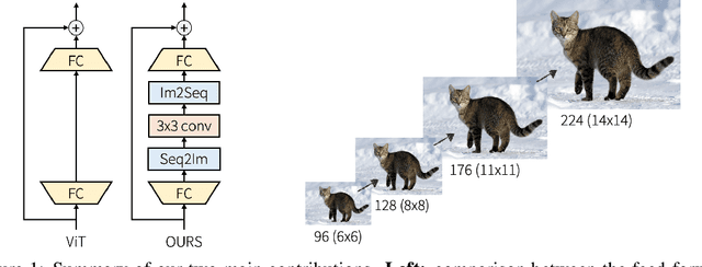 Figure 1 for Training a Vision Transformer from scratch in less than 24 hours with 1 GPU