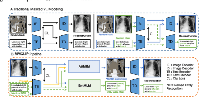 Figure 1 for XLIP: Cross-modal Attention Masked Modelling for Medical Language-Image Pre-Training
