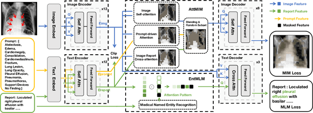 Figure 3 for XLIP: Cross-modal Attention Masked Modelling for Medical Language-Image Pre-Training