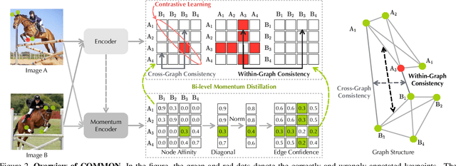 Figure 3 for Graph Matching with Bi-level Noisy Correspondence