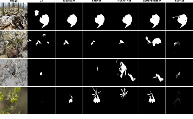 Figure 1 for MSRNet: A Multi-Scale Recursive Network for Camouflaged Object Detection