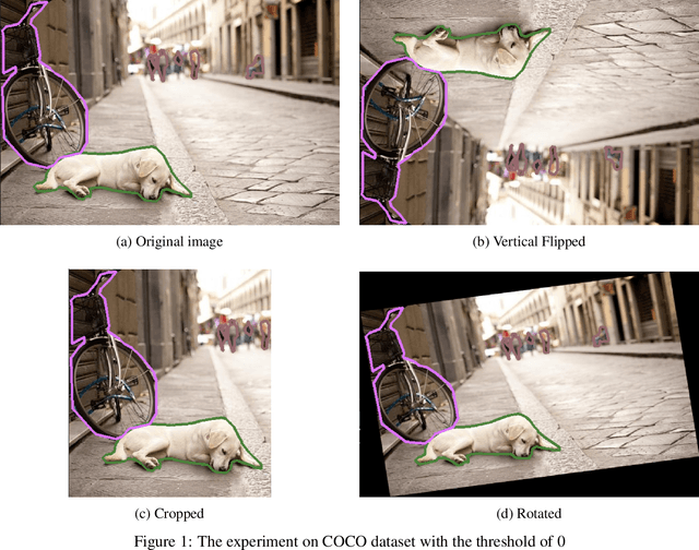 Figure 1 for AugmenTory: A Fast and Flexible Polygon Augmentation Library
