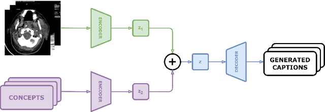 Figure 2 for DS@BioMed at ImageCLEFmedical Caption 2024: Enhanced Attention Mechanisms in Medical Caption Generation through Concept Detection Integration