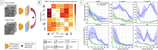 Figure 1 for NeuroADDA: Active Discriminative Domain Adaptation in Connectomic