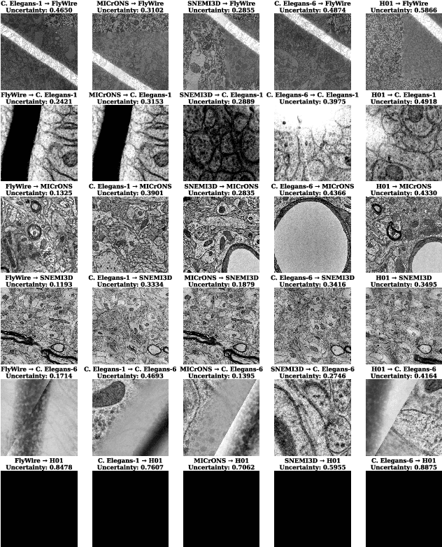 Figure 3 for NeuroADDA: Active Discriminative Domain Adaptation in Connectomic