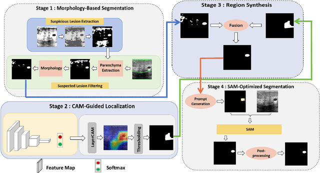 Figure 1 for Morphology-Enhanced CAM-Guided SAM for weakly supervised Breast Lesion Segmentation