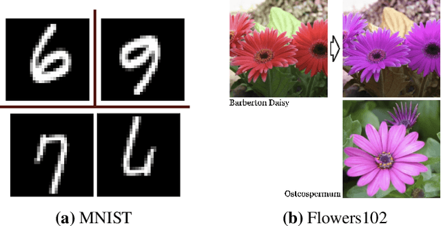 Figure 1 for Variational Partial Group Convolutions for Input-Aware Partial Equivariance of Rotations and Color-Shifts