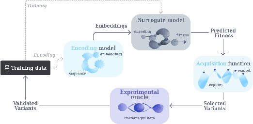 Figure 3 for Why risk matters for protein binder design