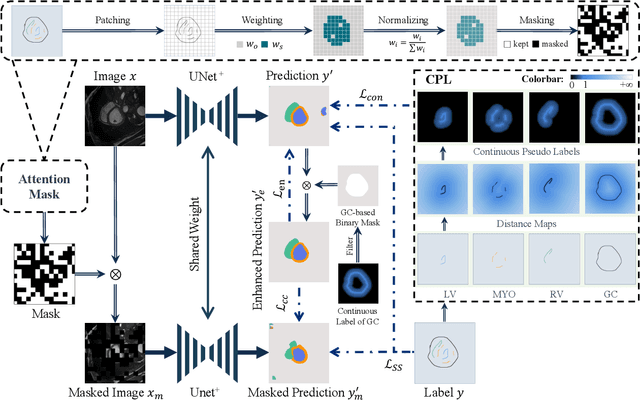 Figure 1 for From Few to More: Scribble-based Medical Image Segmentation via Masked Context Modeling and Continuous Pseudo Labels