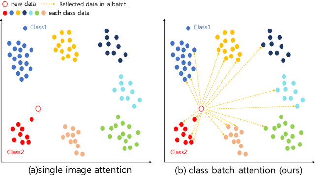 Figure 1 for Batch Transformer: Look for Attention in Batch