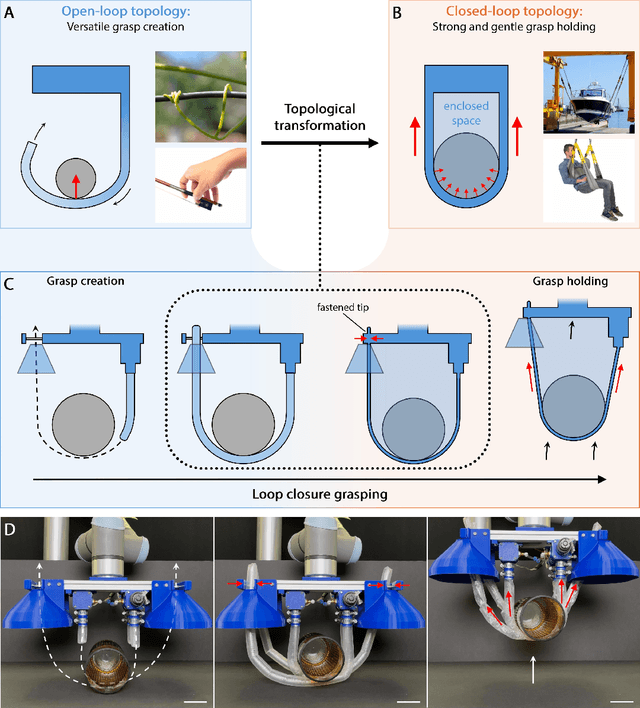 Figure 1 for Loop closure grasping: Topological transformations enable strong, gentle, and versatile grasps