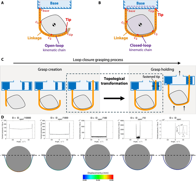 Figure 2 for Loop closure grasping: Topological transformations enable strong, gentle, and versatile grasps