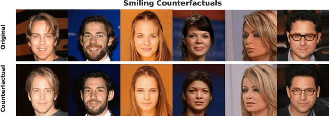 Figure 2 for Unifying Image Counterfactuals and Feature Attributions with Latent-Space Adversarial Attacks