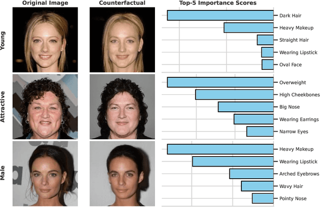 Figure 3 for Unifying Image Counterfactuals and Feature Attributions with Latent-Space Adversarial Attacks