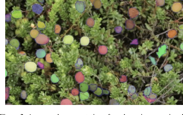 Figure 3 for Agtech Framework for Cranberry-Ripening Analysis Using Vision Foundation Models