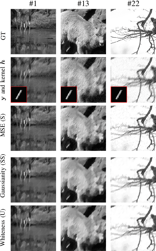 Figure 3 for Whiteness-based bilevel learning of regularization parameters in imaging