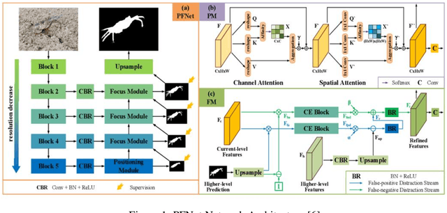 Figure 1 for Uncertainty Modeling in Ultrasound Image Segmentation for Precise Fetal Biometric Measurements