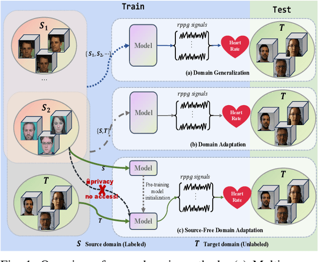 Figure 1 for SFDA-rPPG: Source-Free Domain Adaptive Remote Physiological Measurement with Spatio-Temporal Consistency