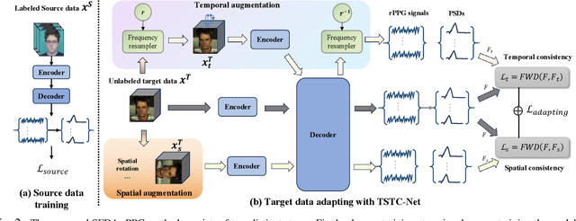 Figure 2 for SFDA-rPPG: Source-Free Domain Adaptive Remote Physiological Measurement with Spatio-Temporal Consistency