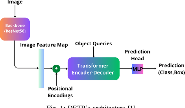 Figure 1 for Deformable-Detection Transformer for Microbubble Localization in Ultrasound Localization Microscopy