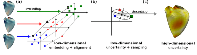 Figure 1 for High-dimensional multimodal uncertainty estimation by manifold alignment:Application to 3D right ventricular strain computations