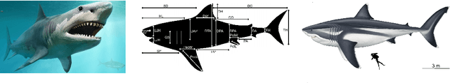 Figure 3 for Toward Realistic Cinema: The State of the Art in Mechatronics for Modern Animatronic